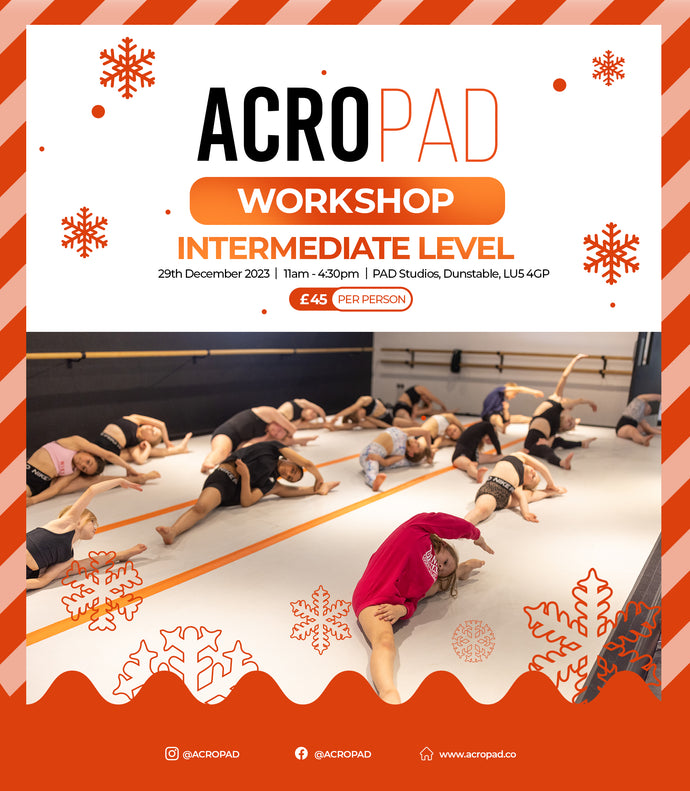 AcroPAD Intermediate Level Workshop 29th DEC 23